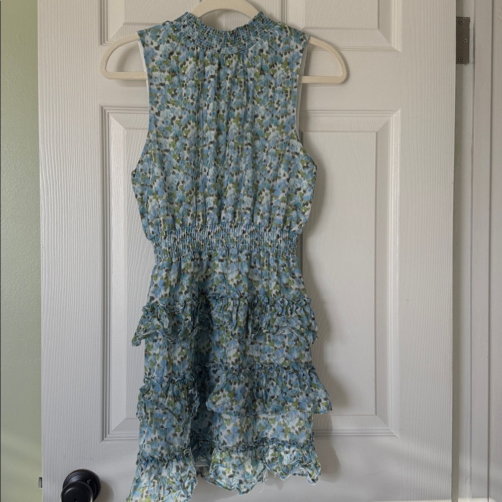 Floral Sleeveless Ruffle Mini Dress - Picture 3 of 4